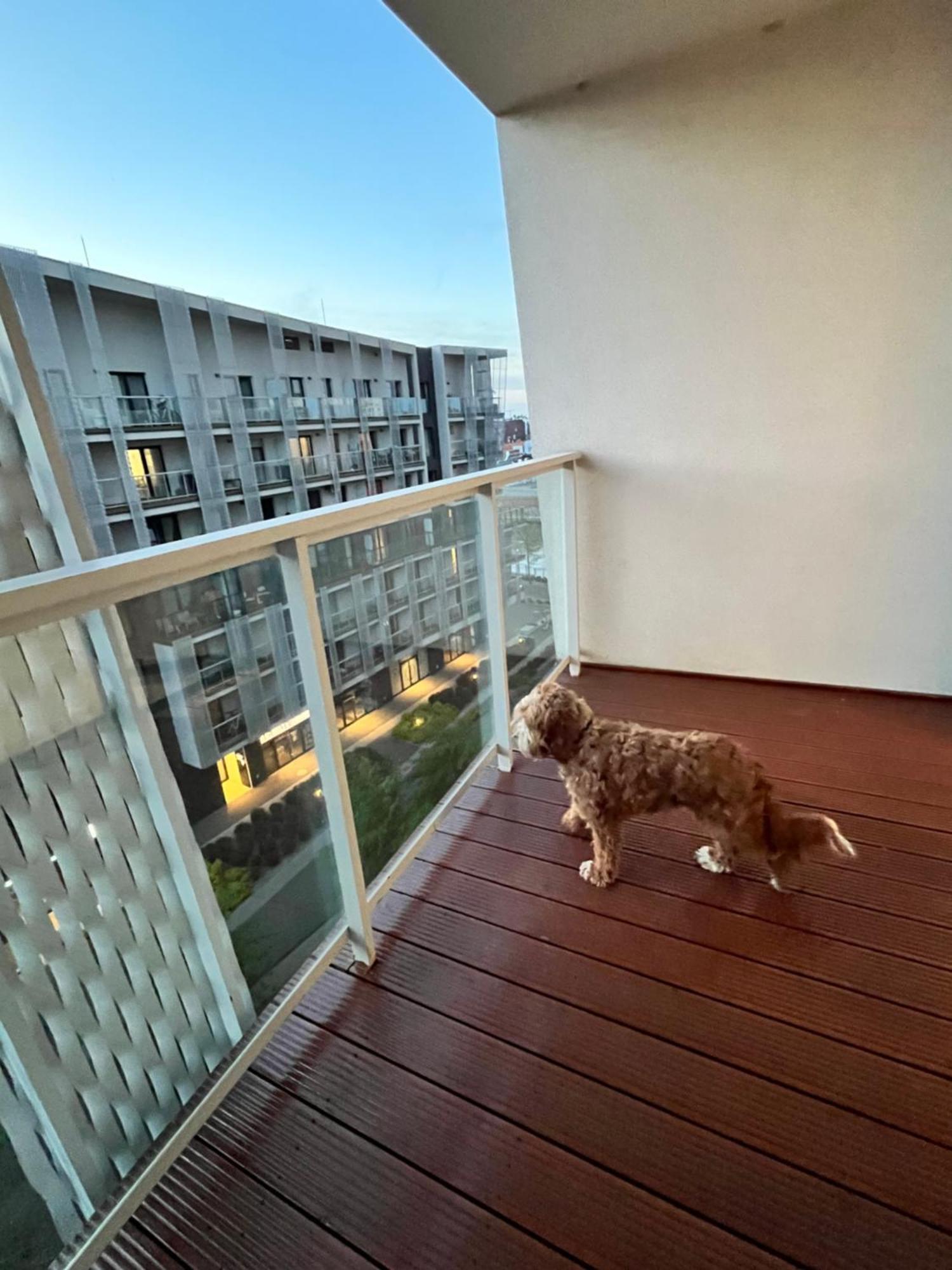Family House By The River Odra -Panoramic Terrace - 3Room Apartment With 2 Separate Bedrooms And 2 Balconies By Wroapart-Pl- Perfect For Family & Business Stays Wrocław Eksteriør billede